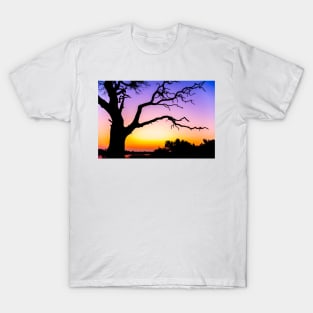 Tree At Sunset T-Shirt